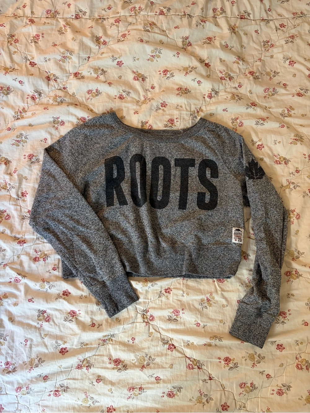Vintage Roots Women's Gray Cropped Sweater